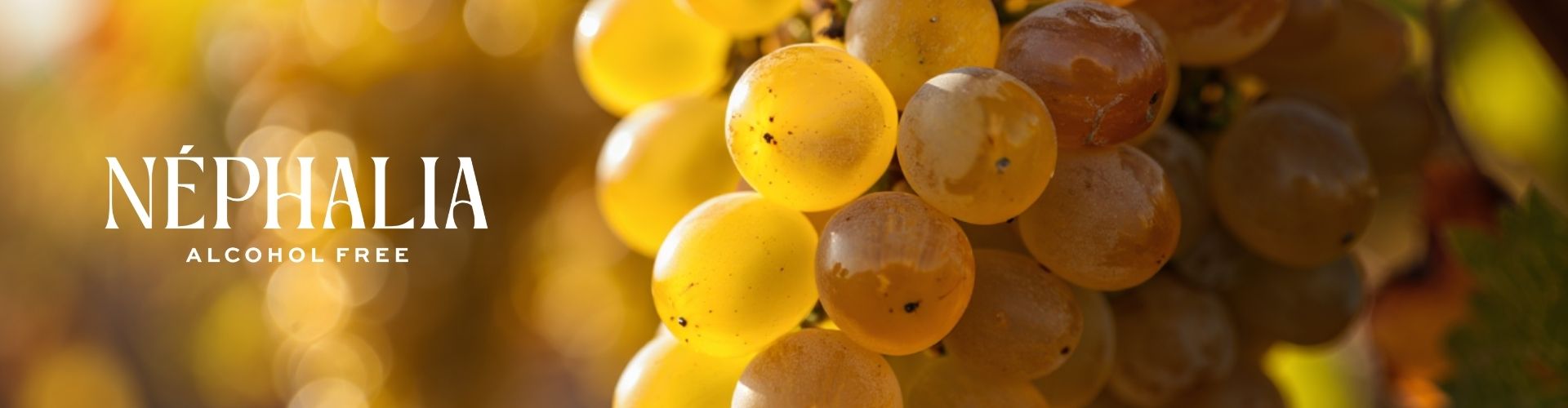 grappe de raisins Néphalia
